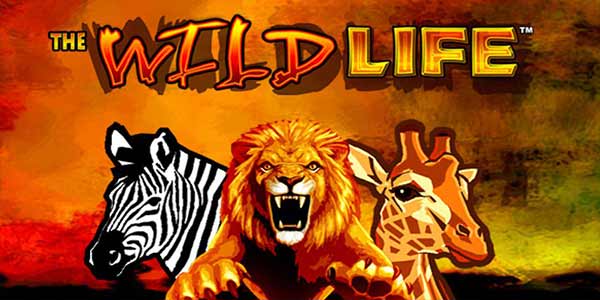 Wild life slot machine online wins game 2 2017